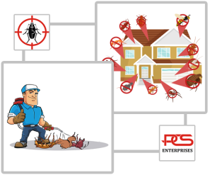 Pest Control Service in Dehradun