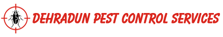 Dehradun Pest Control Services