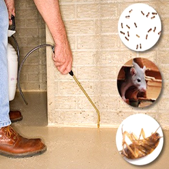 General Pest Control